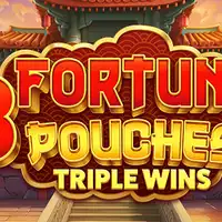 3 Fortune Pouches